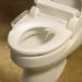 Church 1898 Purite Personal Cleansing Spa Toilet Seat